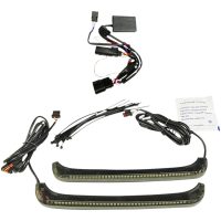 Accentlys Led Low-profile Bagz CUSTOM DYNAMICS