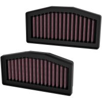 Airfilter Bmw R1300GS : 2024 (2 Per Box) K&N