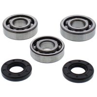 ALL BALLS Crankshaft Bearing & Oil Seal Kit