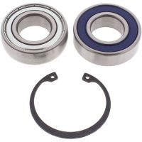 ALL-BALLS Kullager & packboxsats Polaris