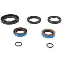 ALL BALLS Transaxle Seal Kit