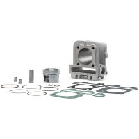 Aluminium Cylinder ø 49 Pin ø 13 4-Stroke MALOSSI