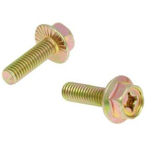 Avgasbultar M6x16 (2 st)