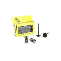 Avgasventil Kit PROX