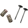 Avgasventil Kit PROX EXHAUST VALVE/SPRING KIT – miniature 1