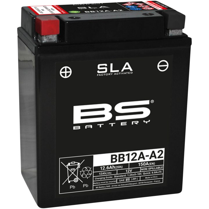 Batteri Vedligeholdelsesfri AGM BS Battery – billede 2
