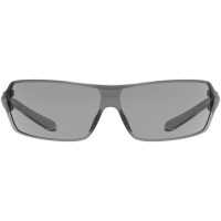 Beskyttelsesbriller Superfit Eco Grå Guardio