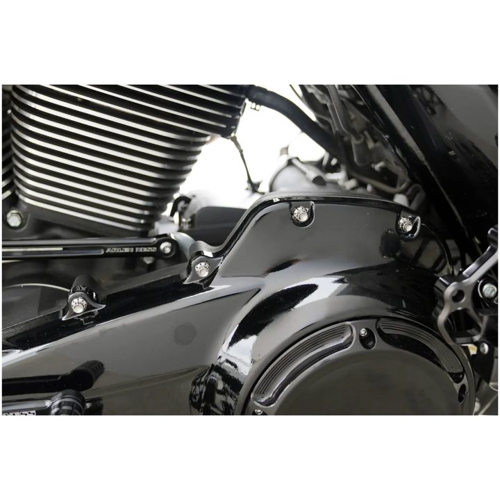 Bolt Kit Outer Primary Cover 12-Point Titanium Polished Silver ARLEN NESS – billede 2