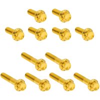 Bolt Kit Rocker Box 12-Point Titan Guld ARLEN NESS
