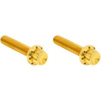 Bolt Kit Transmissionsdæksel 12-Point Guld Titan ARLEN NESS