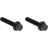 Bolt Kit Transmissionsdæksel 12-Point Sort ARLEN NESS