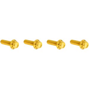 Boltsæt Transmission Top Cover 12-Point Guld Titan ARLEN NESS