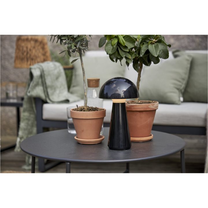 Bordslampa Mushroom Svart Star Trading – billede 11