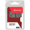 Bremseklodser FORAN Sinter Sport Brembo Forbremseklodser – miniature 2