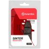 Bremseklodser FORAN Sinter Sport Brembo Forbremseklodser – miniature 2