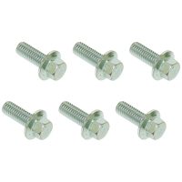 Bromsskivbultset (6 st i set) TMV