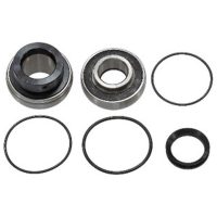 Chain case bearing kit Sno-X