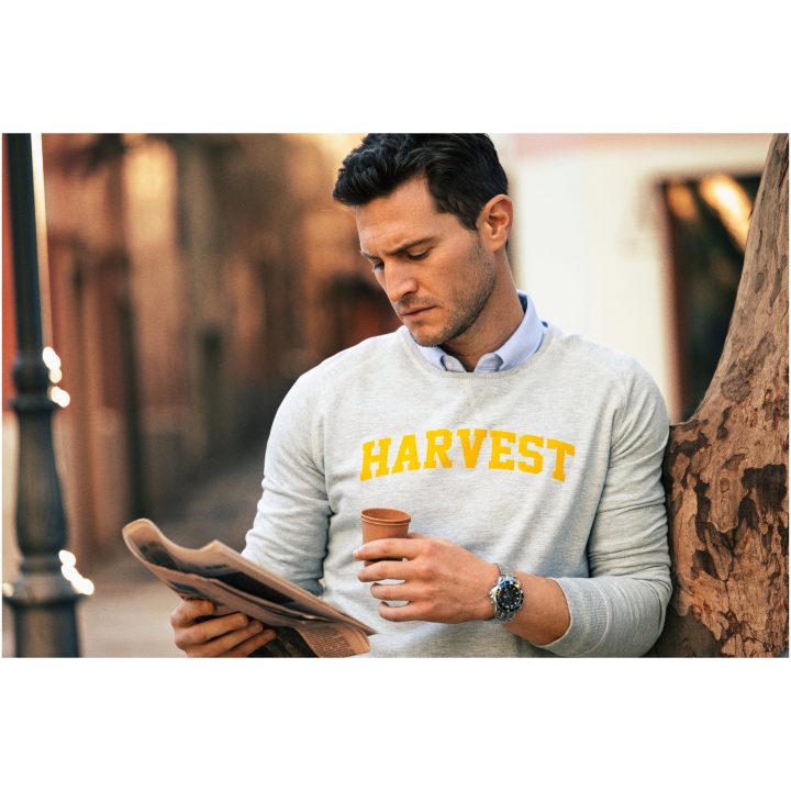 Collegetröja Cornell Askgrå James Harvest – billede 10