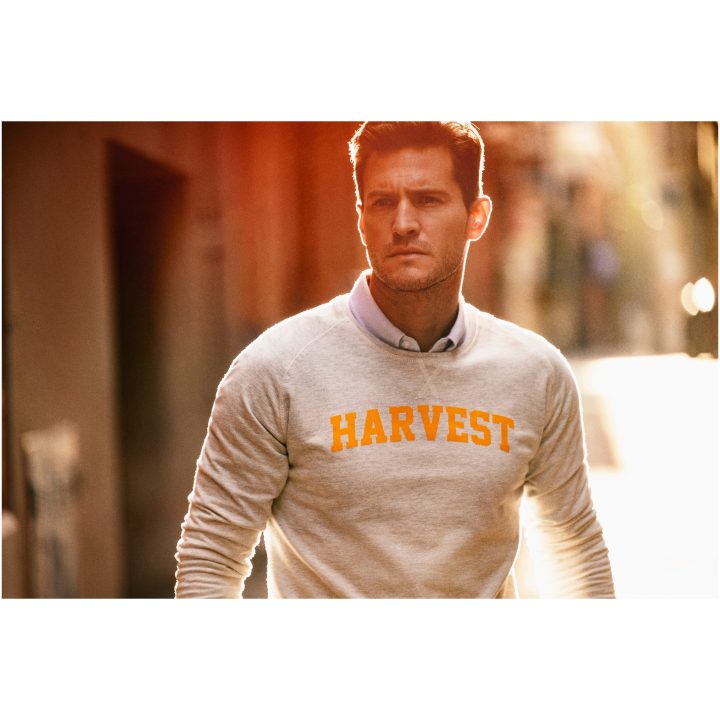 Collegetröja Cornell Blekt blå James Harvest – billede 10