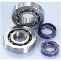 Crankshaft Bearing Kit POLINI