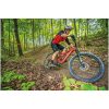 Crosshorts MTB Sort MOOSE RACING 28 – miniature 3