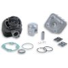 Cylinderkit Støbejern MALOSSI – miniature 1