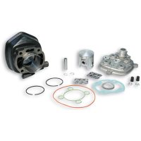 Cylinderkit Støbejern Racing MALOSSI