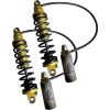 Dæmper Revo Arc Fjeder Guld LEGEND SUSPENSION Støddæmper – miniature 1