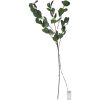 Dekorationskvist Eucalyptus Grøn Star Trading – miniature 1