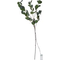 Dekorationskvist Eucalyptus Grøn Star Trading