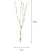 Dekorationskvist Willow DewDrop Natur Star Trading – miniature 3