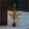 Dekorationstræ Larix STAR TRADING – miniature 5