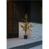 Dekorationstræ Larix STAR TRADING – miniature 3