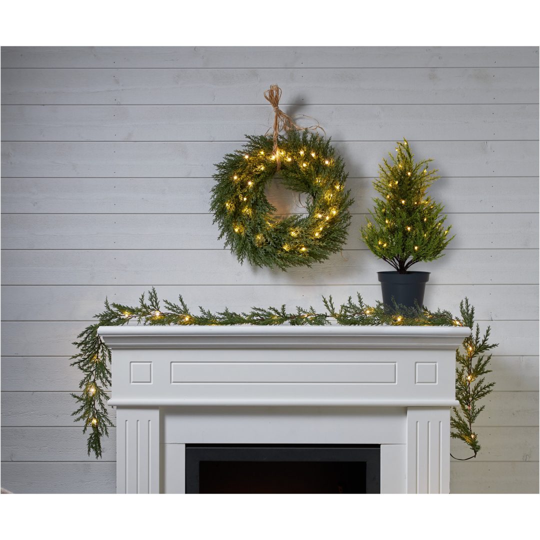 Dekorationstræ Thuja STAR TRADING – billede 14