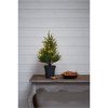 Dekorationstræ Thuja STAR TRADING – miniature 8