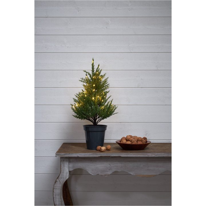 Dekorationstræ Thuja STAR TRADING – billede 8