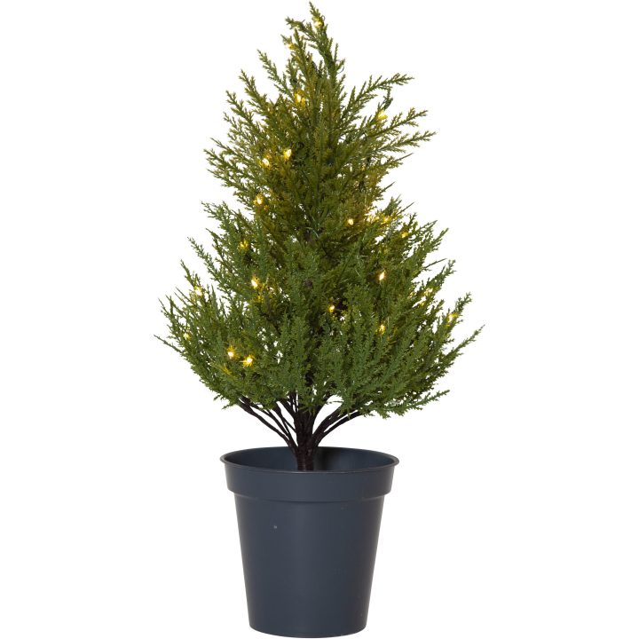 Dekorationstræ Thuja STAR TRADING – billede 16