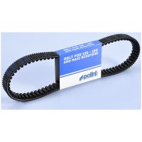 Double-Side-Teeth Variator belt POLINI