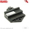 ECU Racing Unlimited (Fuld Effekt) DELL ORTO – miniature 2