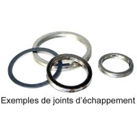 Exhaust Gasket Centauro