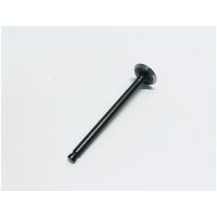 Exhaust Valve