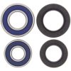 Forhjulslejekit Forhjul ALL BALLS – miniature 1