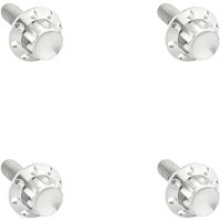 Forrude Bolt Kit 12-Point Titan Poleret Sølv ARLEN NESS