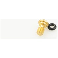 Front Fork Bleed Bolt Complete Gold KYB