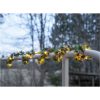 Guirlande Larix STAR TRADING – miniature 4