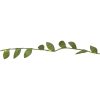 Guirlande Leaf Grøn Star Trading – miniature 9