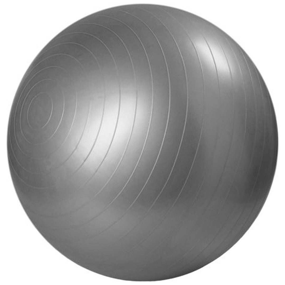 Gymnastikbold sølv 75 cm Master Fitness 75 cm