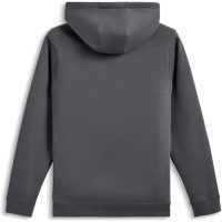 Hoodie Fasting Grå, M Alpinestars