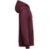 Hoodie Regular Fit Plommon Untagged Movement – miniature 4