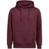 Hoodie Regular Fit Plommon Untagged Movement – miniature 1